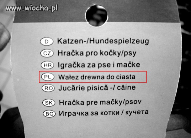 Zabawka dla kota lub psa