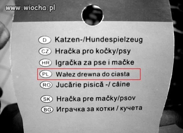 Zabawka dla kota lub psa