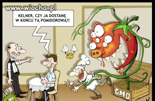 GMO w Polsce