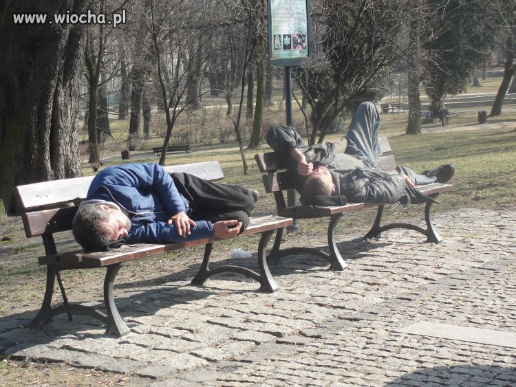 Podczas spaceru..