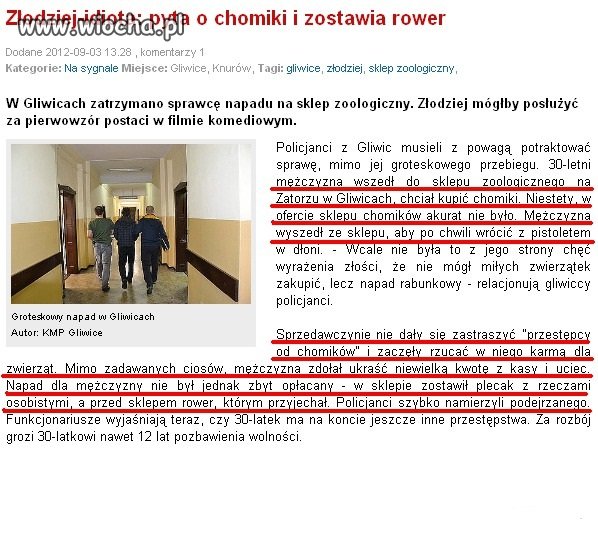 Profesionalna akcja złoedzieja na 