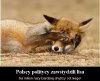 Polscy politycy...