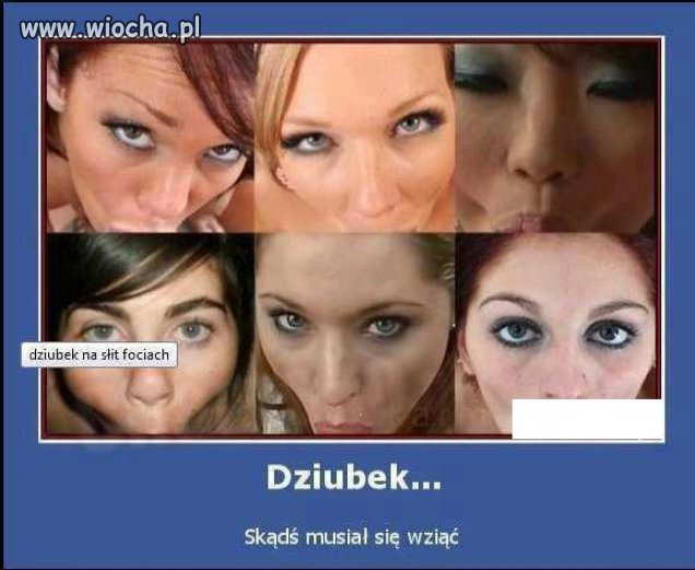 Jak powstał dziubek na słit fotkach...