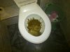 Damskie WC na uczelni