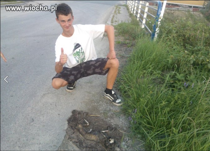 Radość z martwego zwierzątka...
