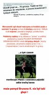 Polski Sąd 