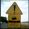 Znak opracowany na polskie drogi