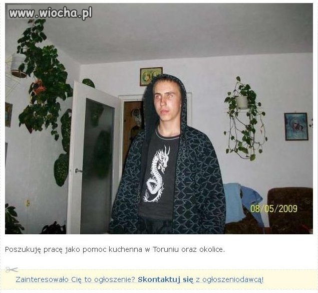POSZUKUJĘ PRACĘ! Dobra reklama nie jest zła!
