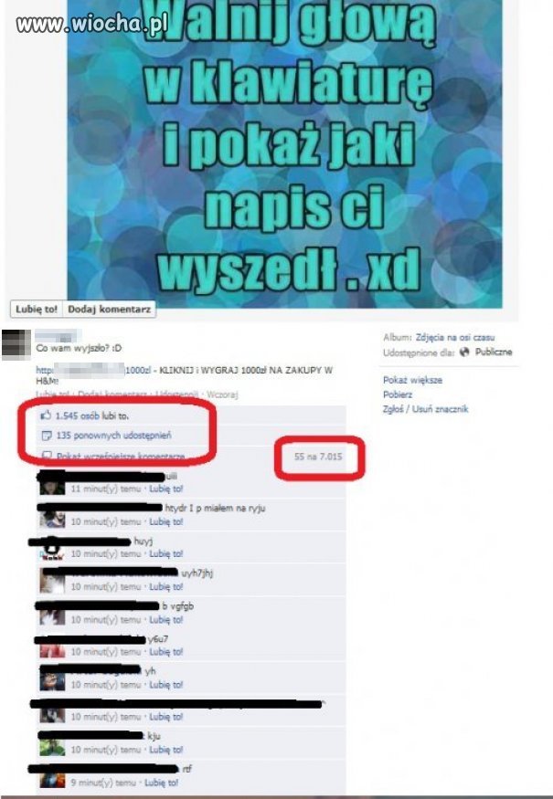 Debile...wszędzie debile...!!! 