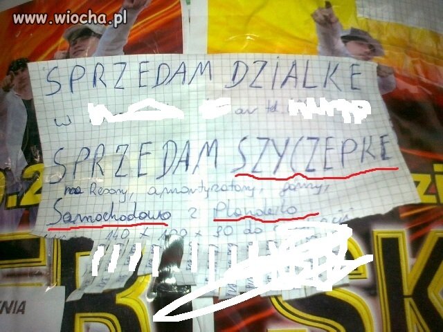  Polszczyzna 