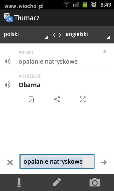 Nie ma to jak tłumacz  