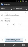Nie ma to jak tłumacz  