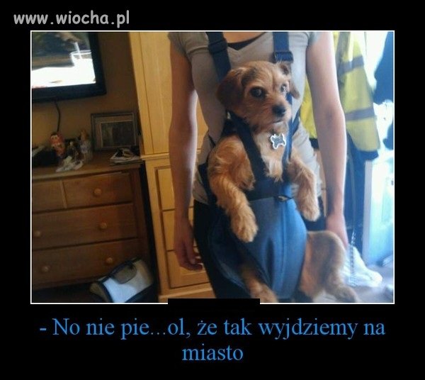 No nie pie...ol, że tak wyjdziemy na miasto