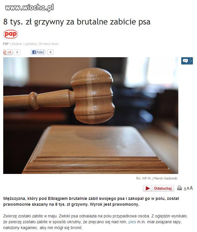 Za okrutny czyn, powinna grozić okrutna kara