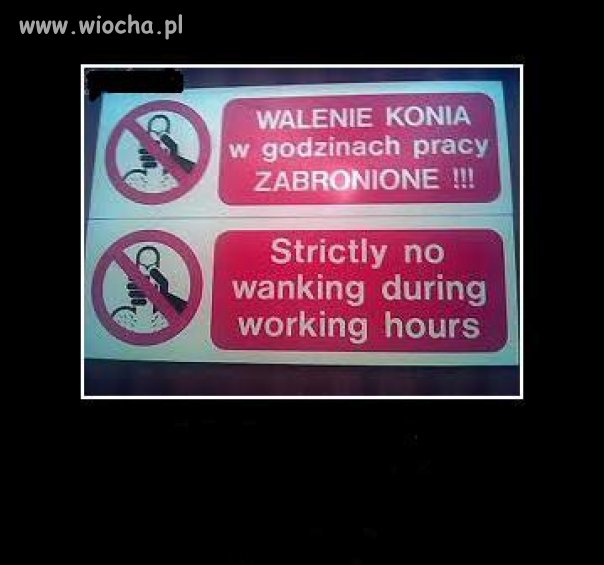 Wszędzie zakazy i zakazy.