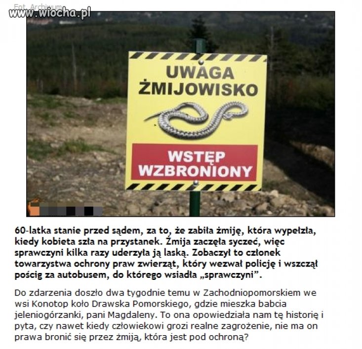 Myślała, że gad ją ukąsi...
