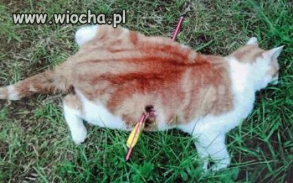 Bo dzieci się nudziły 