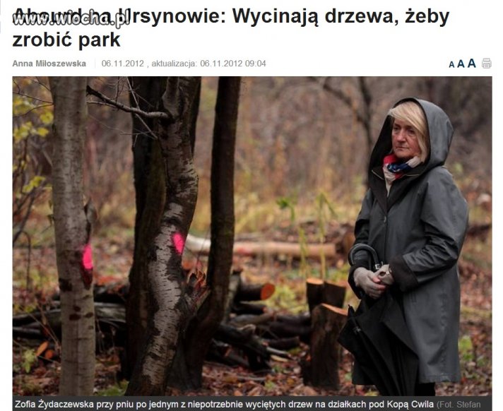 Absurd na Ursynowie. Wycinają drzewa żeby...