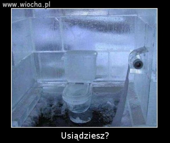 Toaleta dla morsów