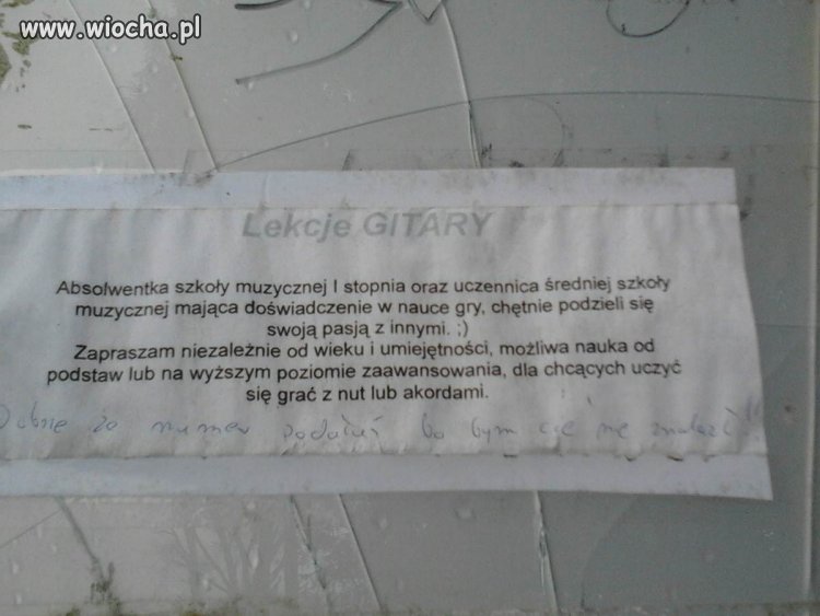 Oleska inteligencja...