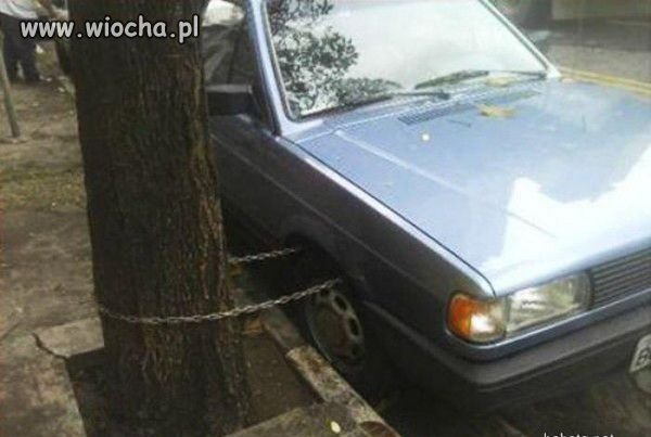 Ma chłop wyobraźnię