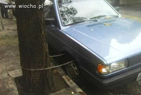 Ma chłop wyobraźnię