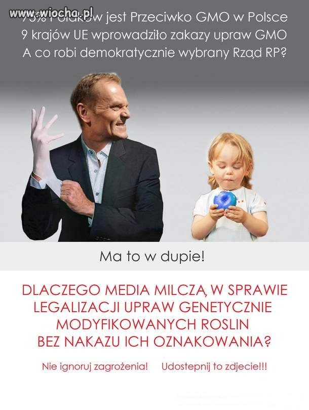 A Tusk ma wszystko 