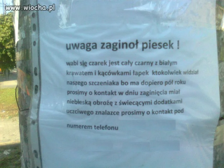 Zaginoł