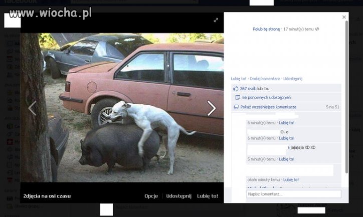 367 osób lubi to...
