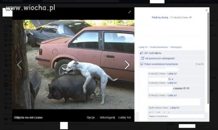 367 osób lubi to...