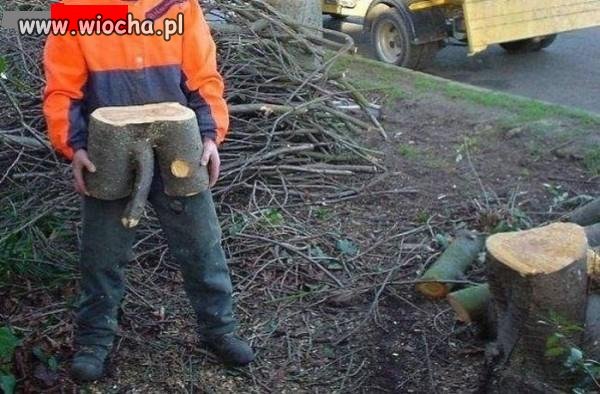 Zapasowy fiu...
