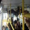 Realia komunikacji miejskiej
