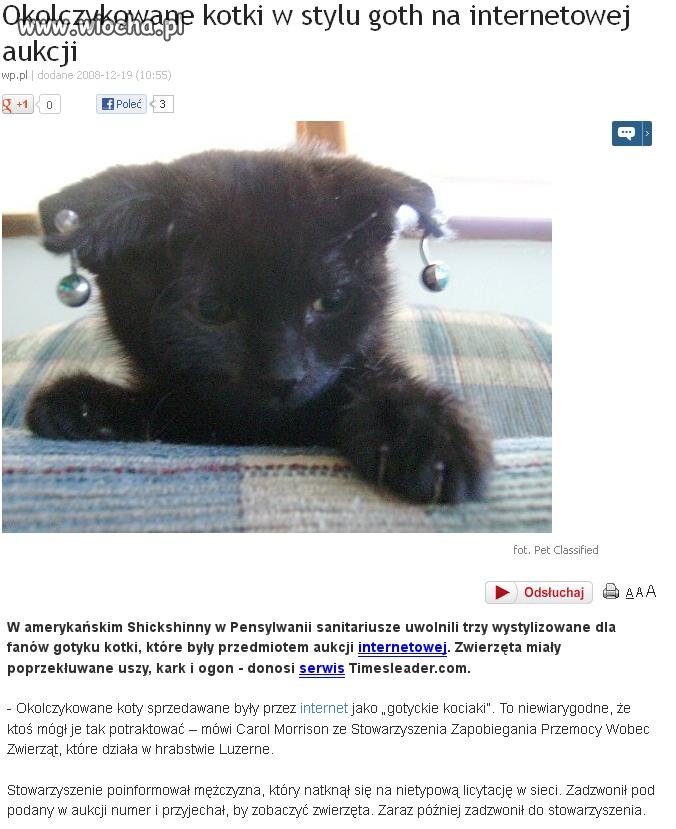 Ludzie za przeproszeniem to już mają