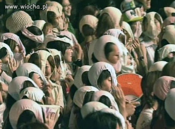 Japonia . 