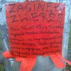 Polska młodzież...