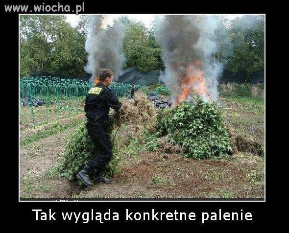 A ludzie się starali zarobić