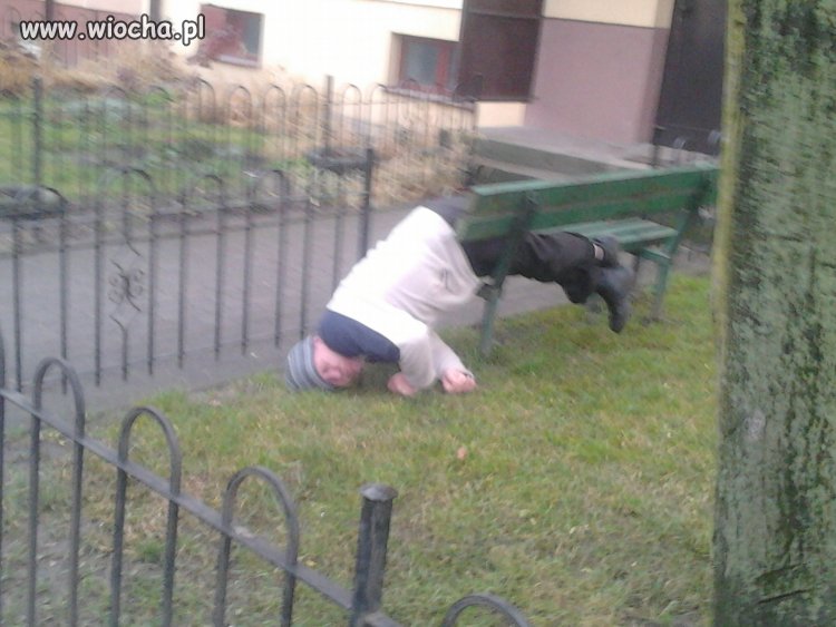 Maków się bawi 