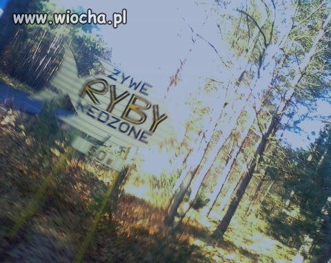 To w końcu jakie?