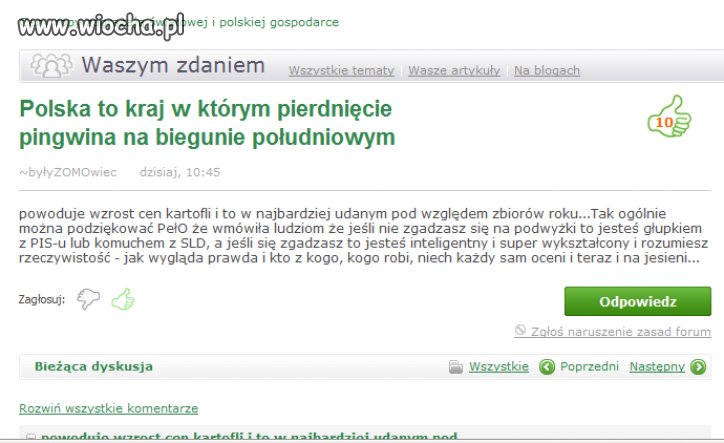 Polski absurd