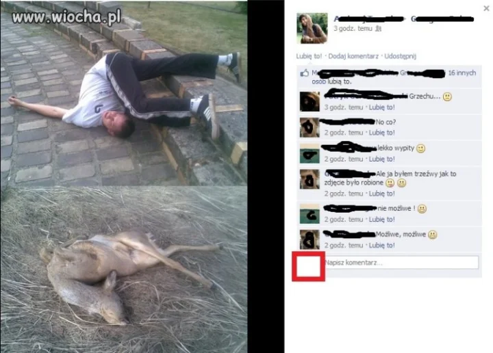 Normalnie boki zrywać.