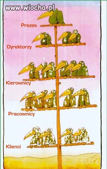 Tak to wygląda w Polsce
