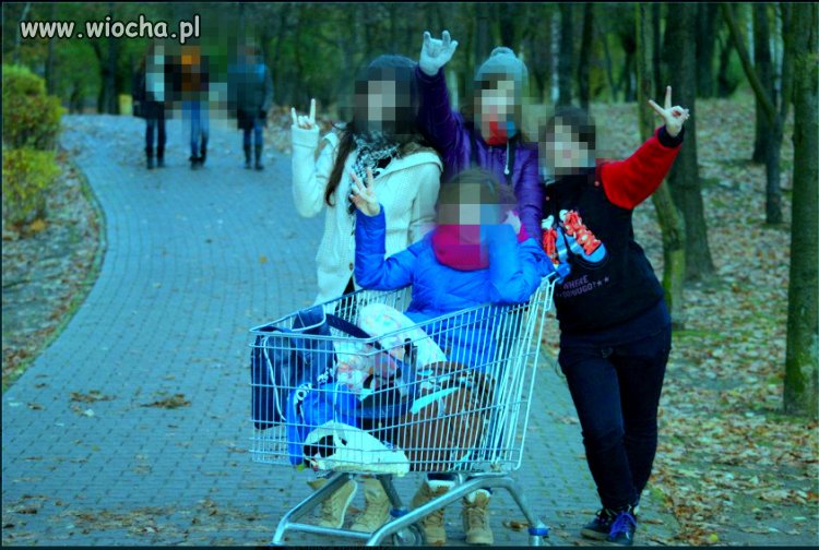Słit Focia w wózku z Lidla musi być...