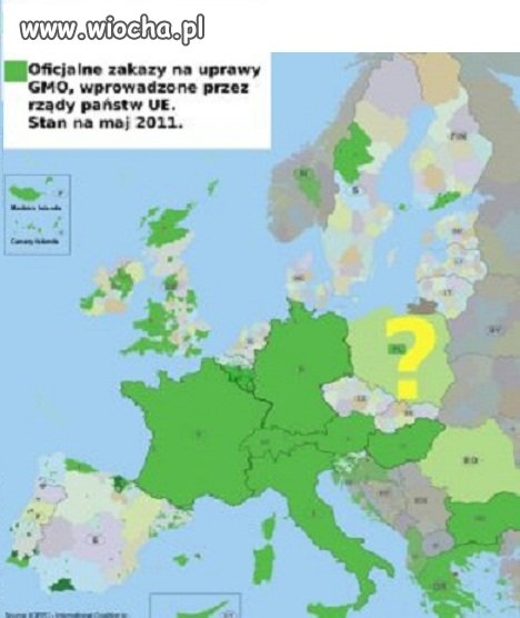 Jest 2012, mamy GMO w Polsce.