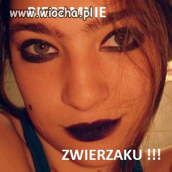 Bierz mnie zwierzaku... Hahaha!!! Padłem 