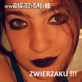 Bierz mnie zwierzaku... Hahaha!!! Padłem 