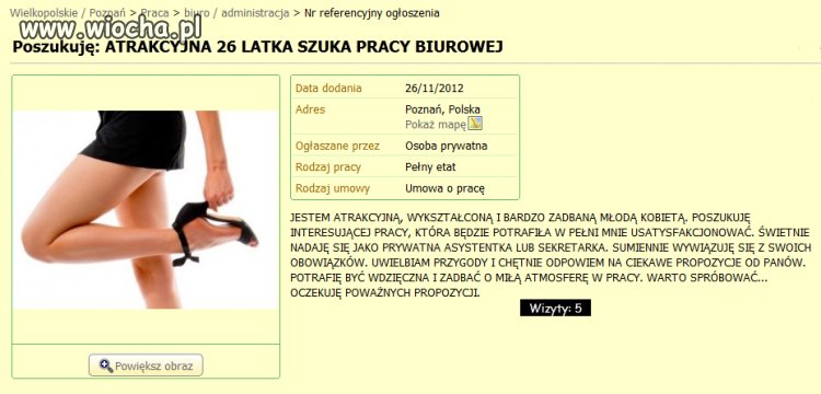 Szuka pracy
