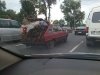 Polonez