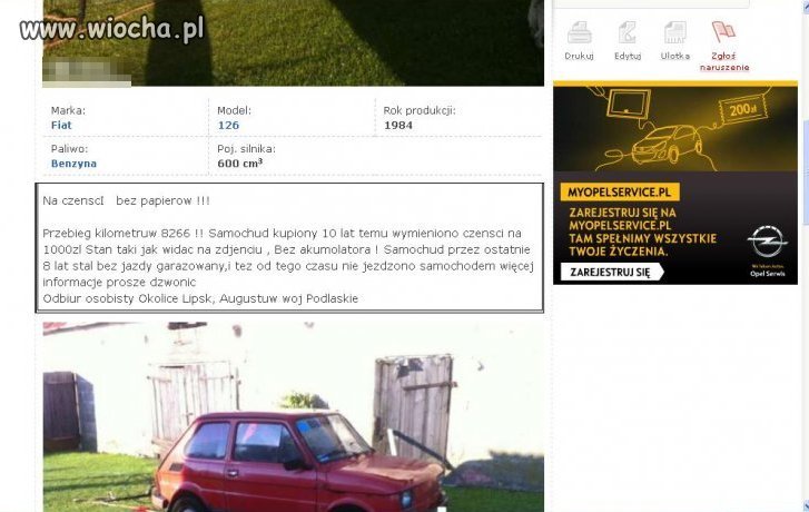 Mistrz błędów..