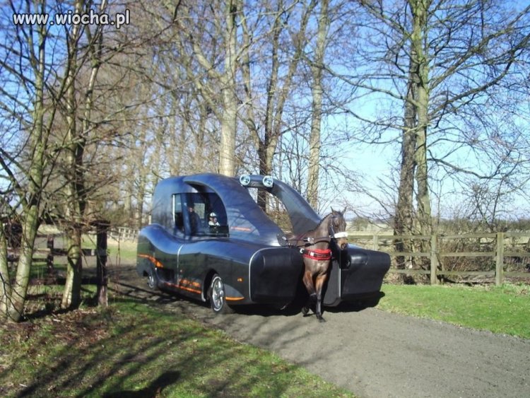 Ta bryka ma 1 koń mocy