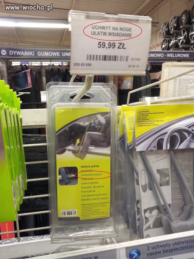 Pomysł na biznes 